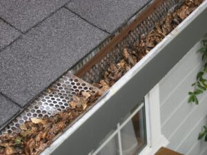 gutters carson ca